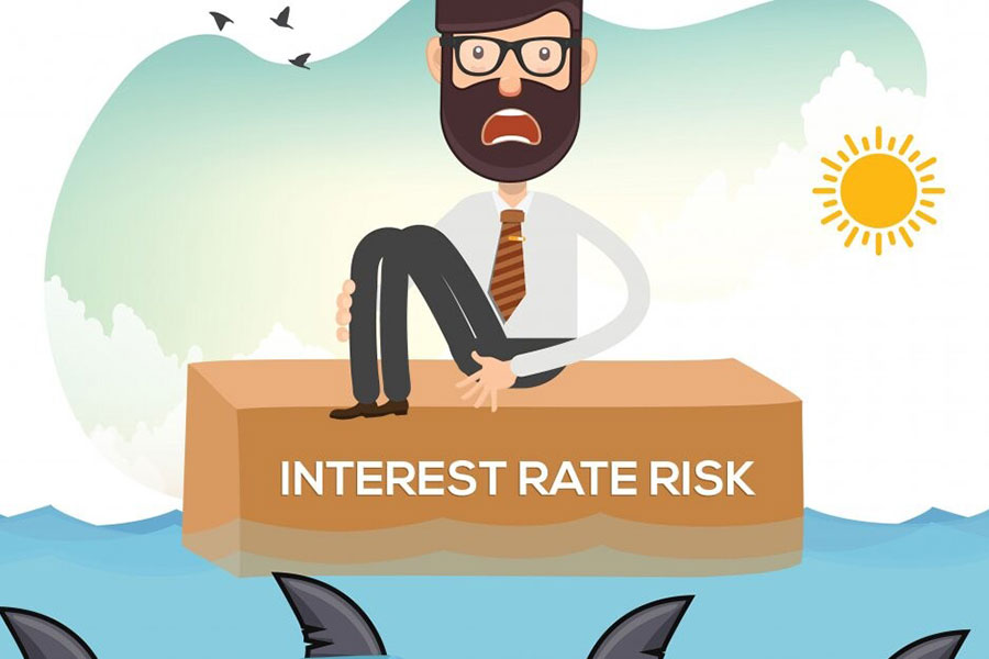 Interest Rate Risk